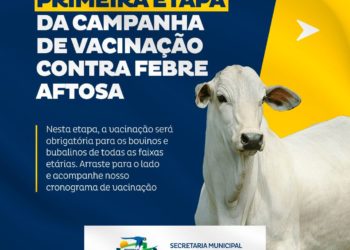 Prefeitura Municipal de Arara inicia primeira etapa da campanha de vacinação contra a febre aftosa