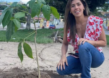 Primeira-dama de Bananeiras anuncia ação de plantio de Ipês pelo município