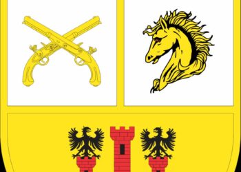 Operação força total: polícia militar prende indivíduo por quebra de medida restritiva, em Solânea