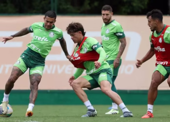 Palmeiras prepara mala branca para o Inter vencer Botafogo