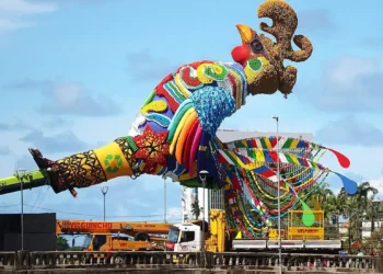 Galo inicia contagem regressiva para carnaval no Recife