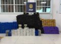AÇÃO INTEGRADA: Polícia Civil e PRF prendem caminhoneiro de Esperança com mais de meia tonelada de drogas na Bahia